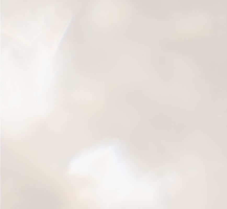 Soft, blurred light background with subtle colors.